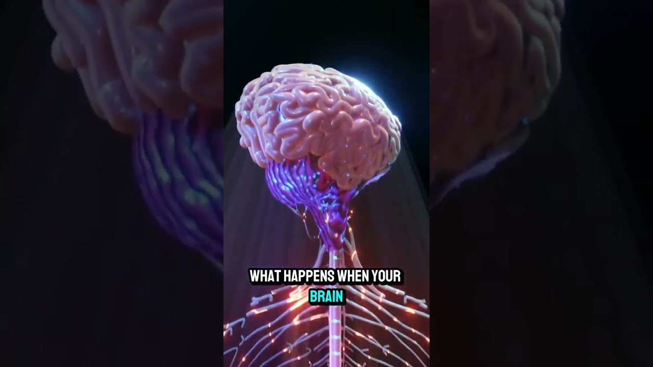 🚨 STOP Ear Ringing NOW! The 10-Second Trick to SILENCE Tinnitus Naturally | Doctor Reveals Truth