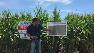 Using UAV Technology to determine stand establishment