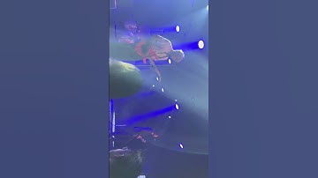 We Are Scientists Settled Accounts