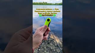Спортивная рыбалка Киев 🐋 #лещ #фідер #газогін  #київрибалка #рыбалкакиев #киеврыбалка #дніпро