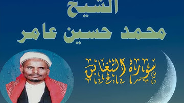 سورة التغابن الشيخ محمد حسين عامر