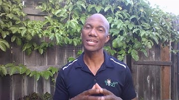 1of 4 WAYS TO MAKE $1K A WEEK.