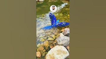 من الآية 24 #سورة_الكهف  #فارس_عباد