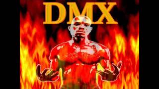 DMX - HEAT