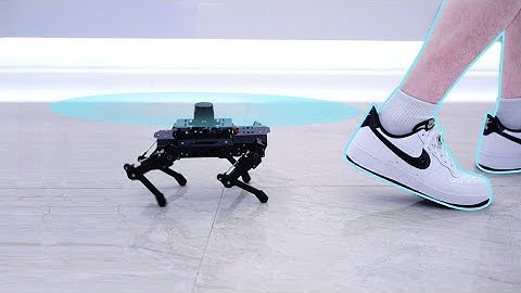 Meet PuppyPi: The AI-Powered Robot Dog That Thinks for Itself!