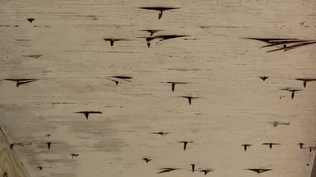 No Roofer .. NAILS too Long for the (Overhang Ruined)