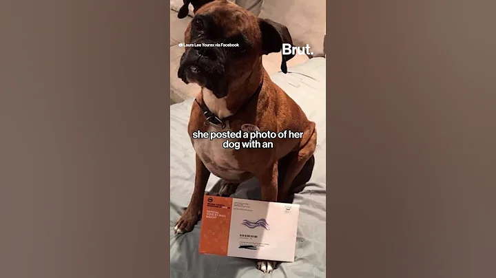 Woman charged for registering her dog to vote in California.