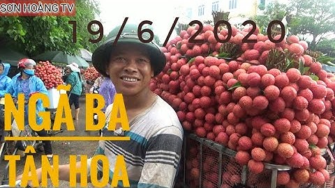 Cập Nhật Giá Vải Thiều Lục Ngạn ngày 19/6/2020 tai ngã ba Tân Hoa ( Luc Ngan litchi )