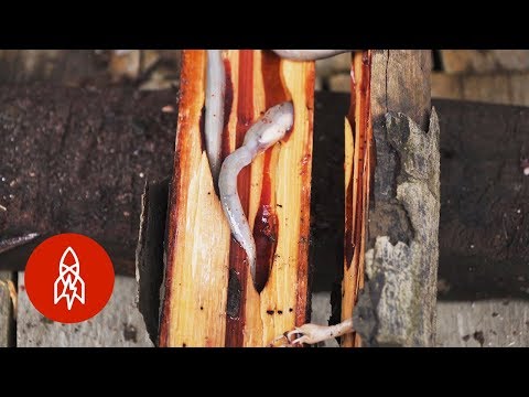 Dare to Eat the Philippines’ Delectable Woodworms