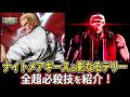 【格ゲー】ナイトメアギースと影なるテリーの全超必殺技【解説】