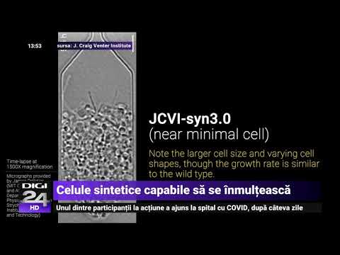 Video: Oamenii De știință Au Creat Un Virus Care Ucide Orice Celule Canceroase - Vedere Alternativă