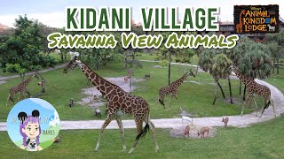 Kidani Village Savanna View Animals  SEE our Balcony View