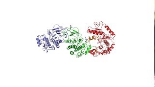 KSR2 mutations are associated with obesity, insulin resistance and impaired cellular fuel oxidation