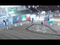 Kerry Blue Terrier World Agility Championship 2015 の動画、YouTube動画。