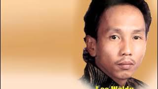 Memories Of Leo Waldy 3