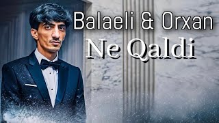 Nicat Eliyev & Balaeli - Ne Qaldi (Yeni 2023) Resimi