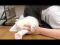 ゲームの休憩中に猫を吸ったらこうなりました…笑