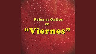 Video thumbnail of "Pelea de Gallos - Viernes"