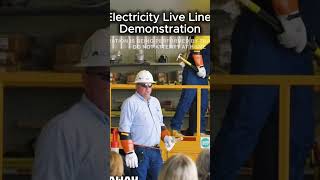 Electricity Live Line Demonstration #lineman #safety #electric #electrical