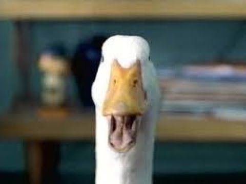 THE VERY FIRST AFLAC COMMERCIAL - 2000