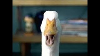 THE VERY FIRST AFLAC COMMERCIAL  2000