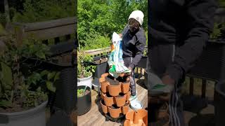 Greenstalk Balcony Garden Complete Set Up