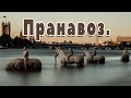 эпидемия, война, Что дальше? голод? Кому нужна война в Украине?