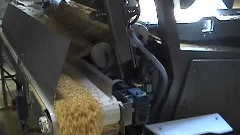 Cut Corn Processing on Manta® 1600 Laser / Camera Sorter