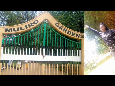 Muliro Gardens Vlog Kakamega Kenya