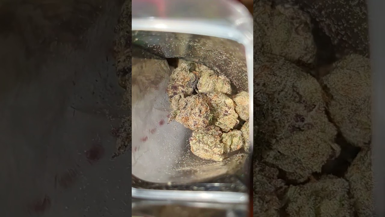 white truffles THCA flower.                                                  