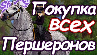 ПОКУПКА ВСЕХ МАСТЕЙ ПЕРШЕРОНОВ | ЛУЧШИЙ ТЯЖЕЛОВОЗ! | STAR STABLE