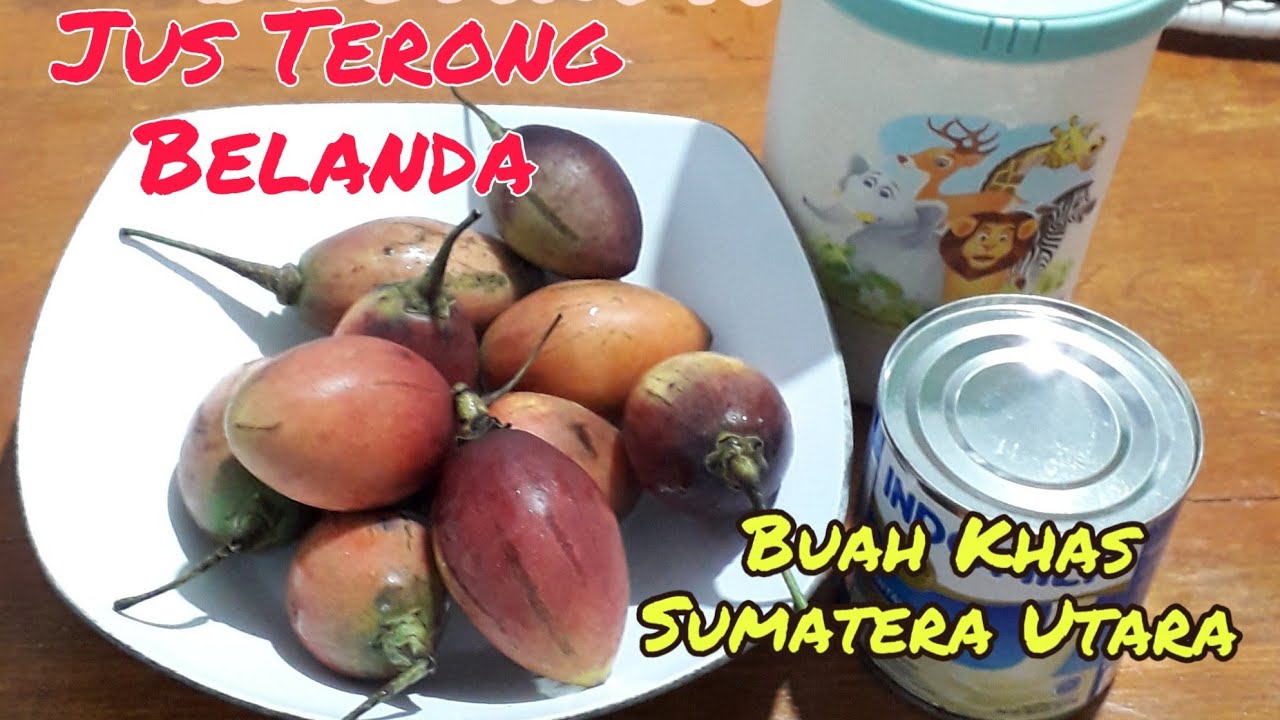 Jus Terong Belanda Buah Khas Sumatra Utara 