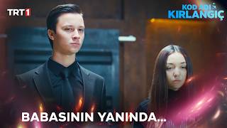 Aslan, Gizli Tünele Gidecek - Kod Adı Kırlangıç 79.
