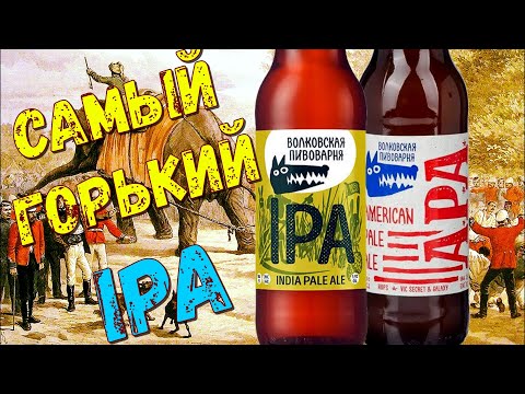 Какое пиво лучше? | IPA или APA | Волковская пивоварня | Обзор пива (18+)