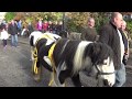 Horse Fair 2017 Mohill, Co Leitrim,  (Video)