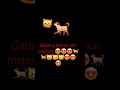 gatos y perros son mejores