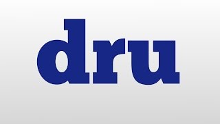 dru meaning and pronunciation