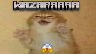 Shitposting Compilation V148 / Videos Random en Español / Wazaaa 👻