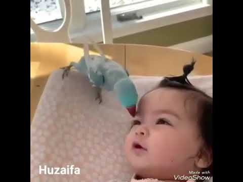 الطفولة حياة الروح وروح الحياة اعط الطفل الحب والضحك والسلام