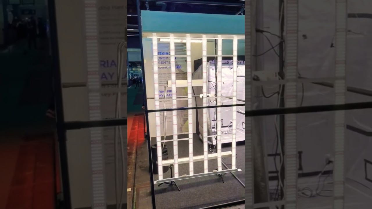 Grow Lights for Plants 