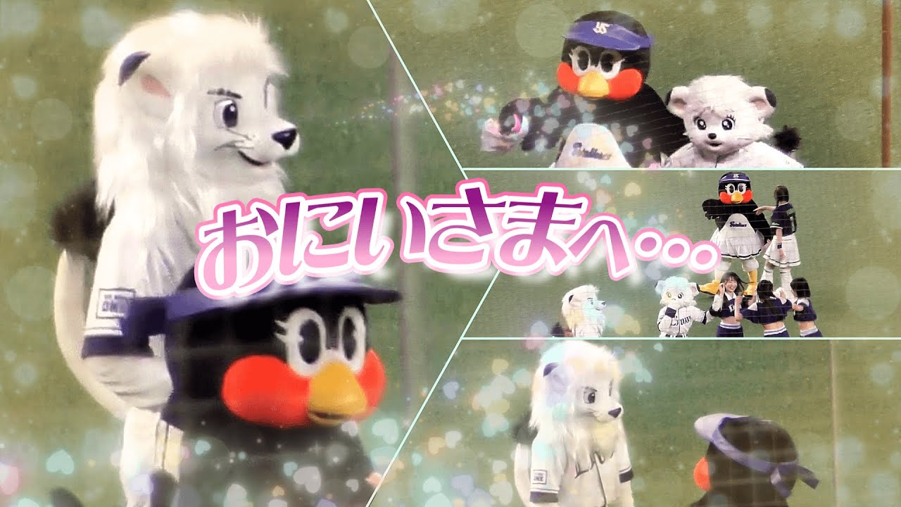 【2025/6/4 ベルーナドーム】つばみちゃんの交流戦ビジター遠征奮闘中、優しいイケメン白獅子兄さんがサポートします♪
