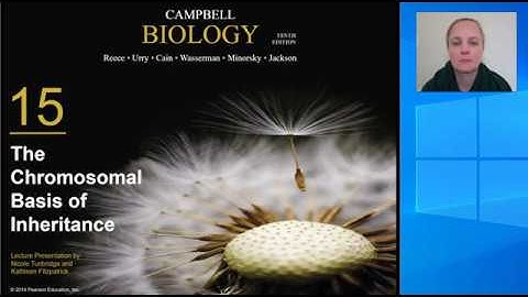 Chapter 15 Chromosomal Basis of Inheritance