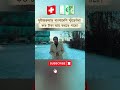 #Switzerland #StudentVisa বাংলাদেশি স্টুডেন্টরা কত টাকা আয় করতে পারে? 🇨🇭💶