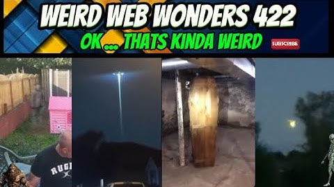 weird web wonders 422