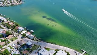 Perma-Liner In St. Pete | Pass-A-Grille | Perma-Lateral Lining Installation