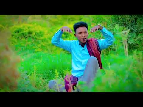 Dhaanto Cusub Cabdi Wali Xasan Dhuux Nimco 