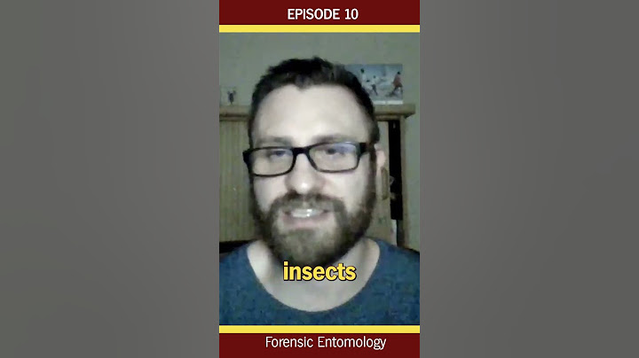 Insects can be used to solve a murder case
