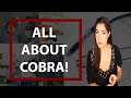 COBRA HEALTH INSURANCE EXPLAINED: I Lost My Job!  Is COBRA an Option Now That I'm Unemployed?