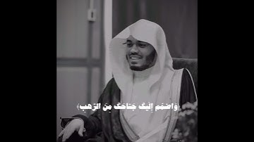 اكتب شي تؤجر عليه🤍… الشيخ ياسر الدوسري سورة القصص