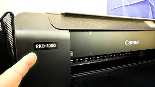 Is The Canon PRO1000 really THAT expensive to PRINT with?